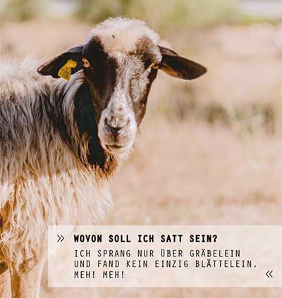 © Lara Katzer | August-Bebel-Schule Offenbach a.M.