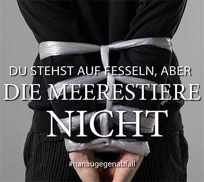 © Alena Babieva, Florian Klier, Jessica Ladwig |  August-Bebel-Schule Offenbach a.M.