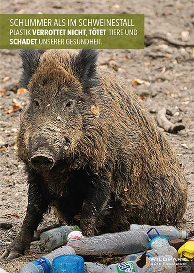 © Alexadra Heitlinger | August-Bebel-Schule Offenbach a.M.