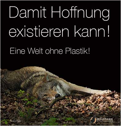 © Christos Tsioridis | August-Bebel-Schule Offenbach a.M.