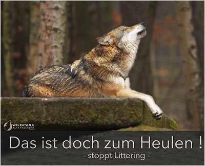 © Neila Mezali | August-Bebel-Schule Offenbach a.M.