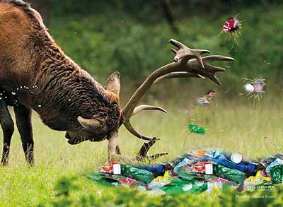 © Niklas Etling | August-Bebel-Schule Offenbach a.M.