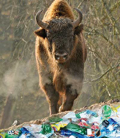© Paul Roehrig | August-Bebel-Schule Offenbach a.M.
